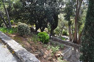 a066- Agay igesa